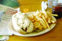pxslaw0219_500px1 My Sisters Place - Slaw Dog
