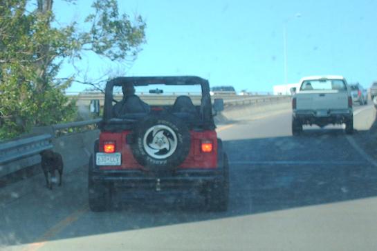 dogononramp dogononramp