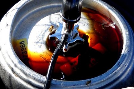 RootBeerKeg2389572 RootBeerKeg2389572