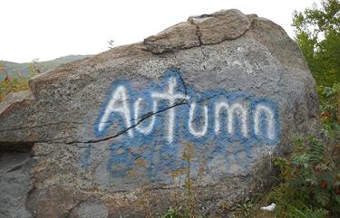 AutumnWider