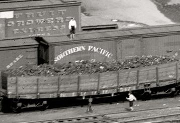 Duluth1905Image49582
