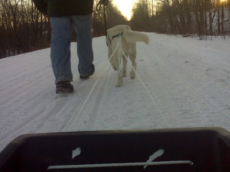 Argos Pulls Galynn in the Otter Sled