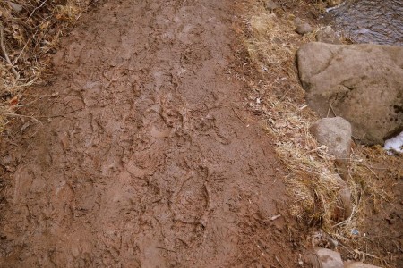 MuddyTrailChester