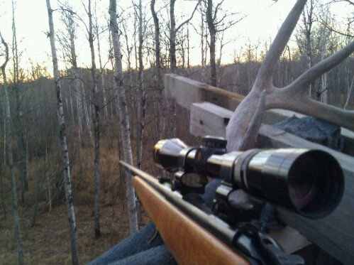 wpid-IMG_20101106_075704.jpg