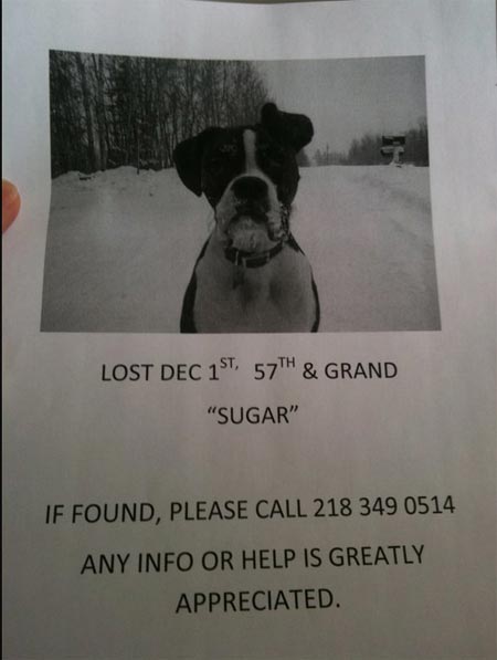 sugar