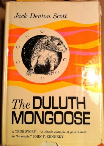 duluth_mongoose