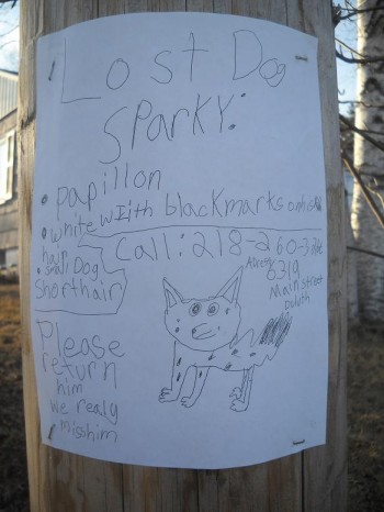 LostSparky