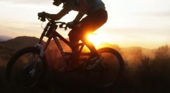 LifeCycle