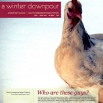 A-Winter-Downpour-Homegrown-2010