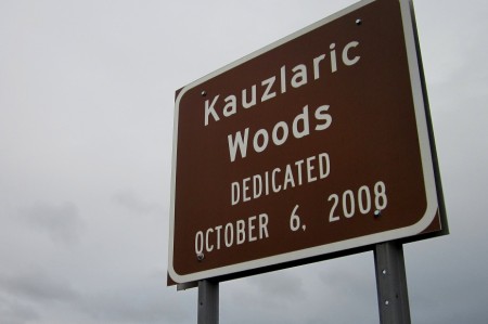 Kauzlaric-Woods-Duluth-Mystery