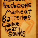 wannabe-hasbeens-2008-tpb