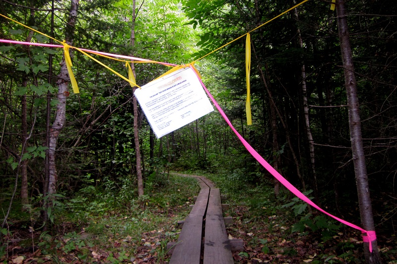 encampment-river-bridge-out