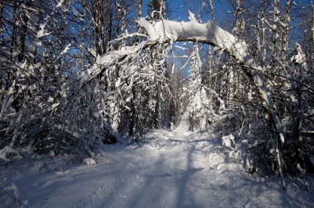 hartley-arch