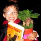 August harry potter 145x145