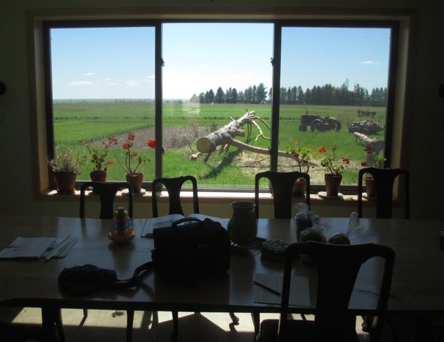 window onto Food Farm