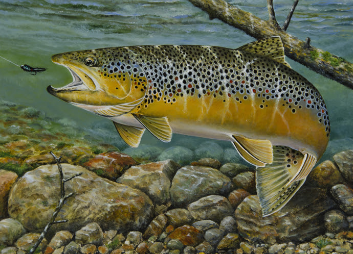 2016 Trout and Salmon Stamp Competition. First Place: Dean Kegler