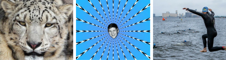 Copy of Untitled Design