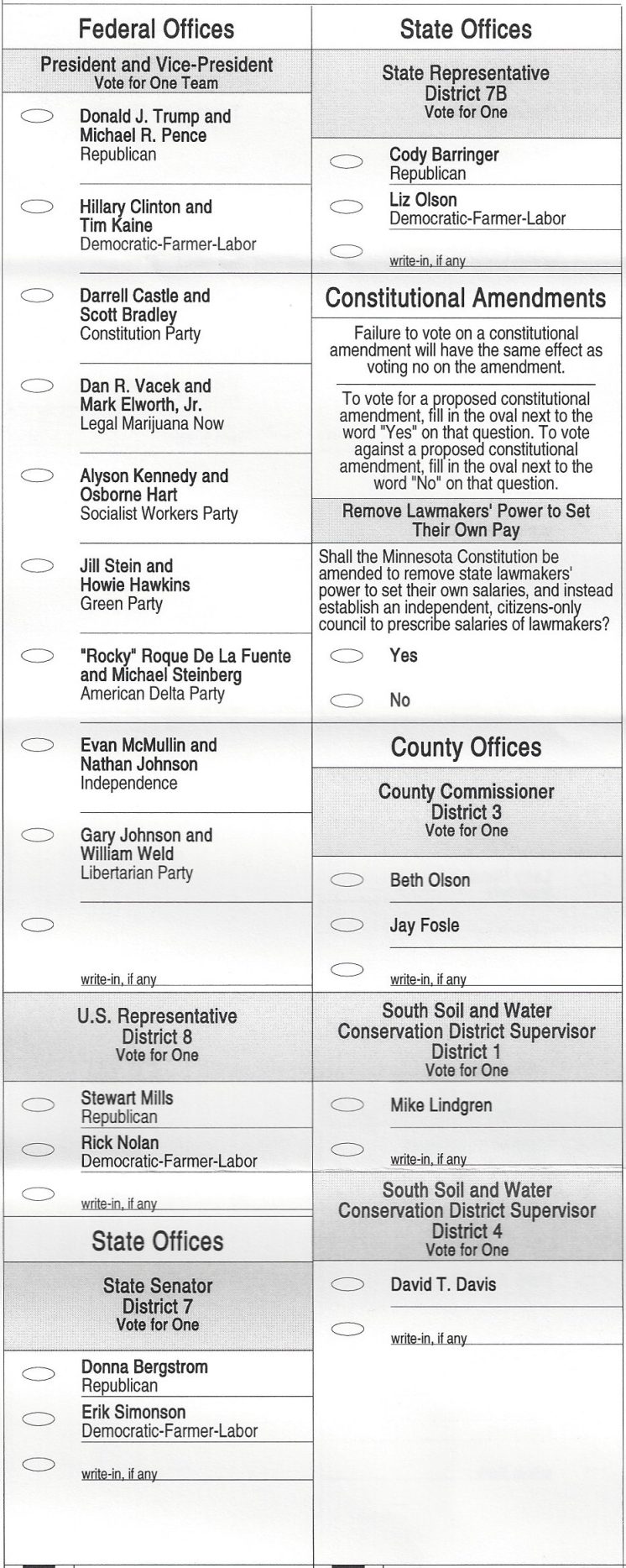 2016duluthgeneralelectionballot1