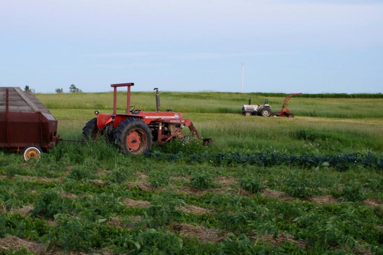 CSA Farm