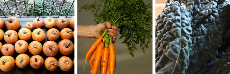 CSA