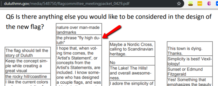 Duluth Flag Survey