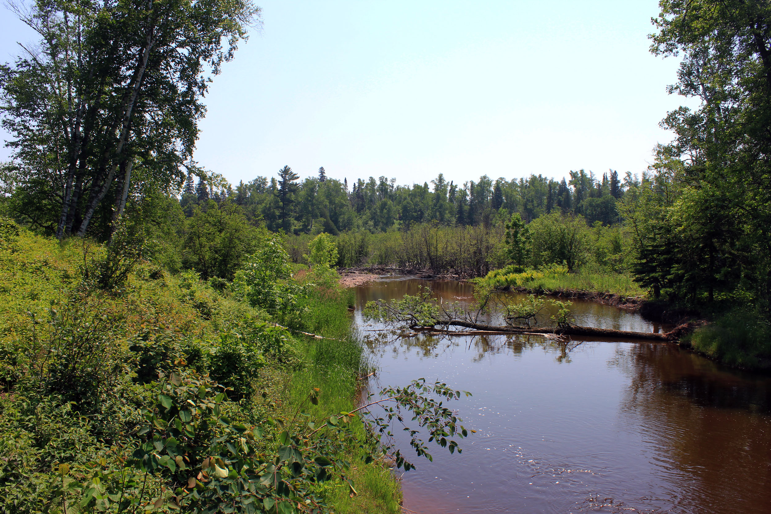 Gooseberry Falls