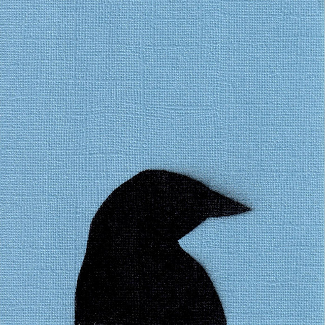 Murder of Crows Imperfecta
