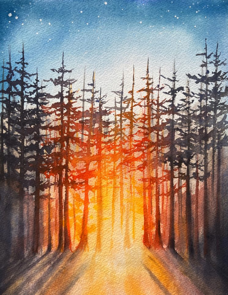 Shelter and Light Derek Bromme