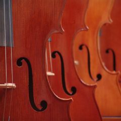 String Orchestra Concert Jessica Schroeder
