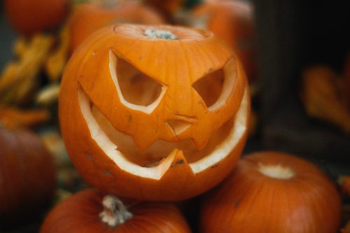 Carved pumpkin3 for pp26